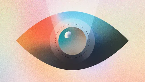 vision